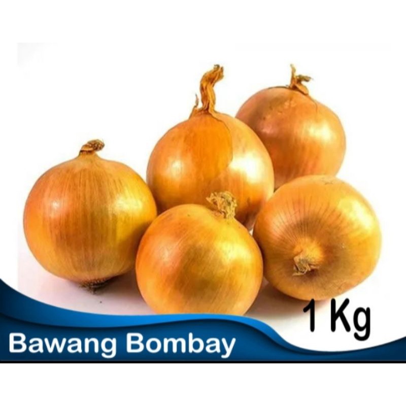 

Bawang Bombay Kemasan 1 kg