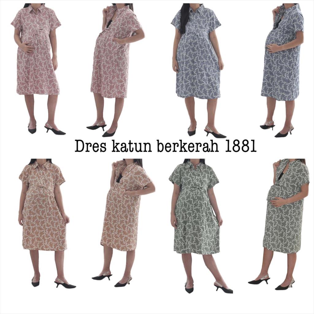 Dress Katun Berkerah 1881