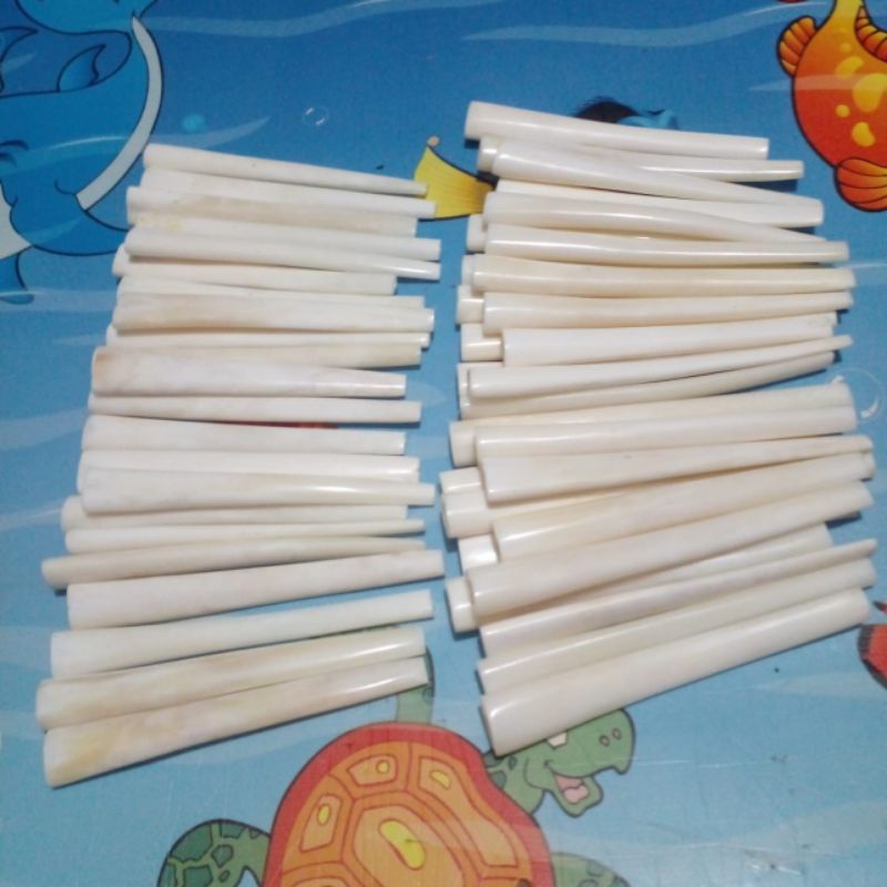 once dari tulang sapi panjang 10 cm