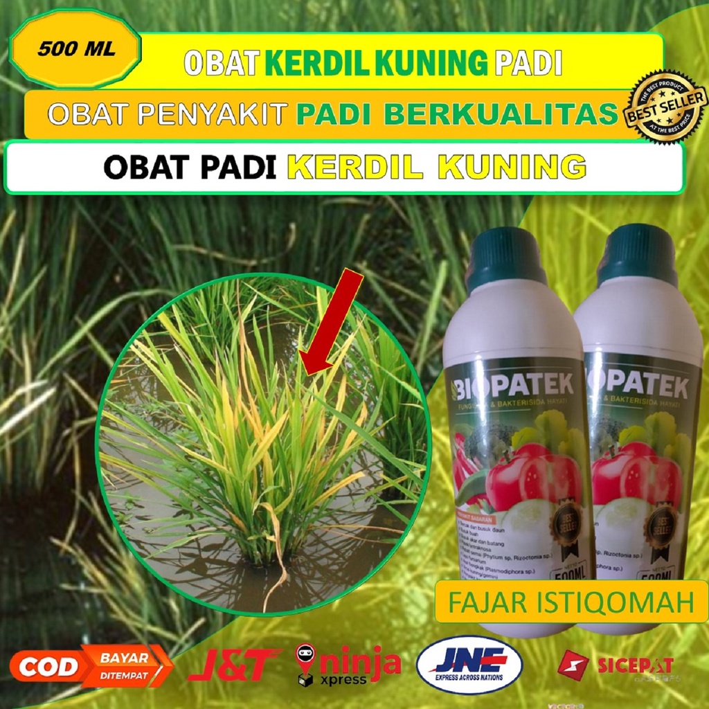 TERLARIS BIOPATEK fungisida hayati obat daun kerdil kuning padi (500 ML) - obar kerdil tanaman padi 