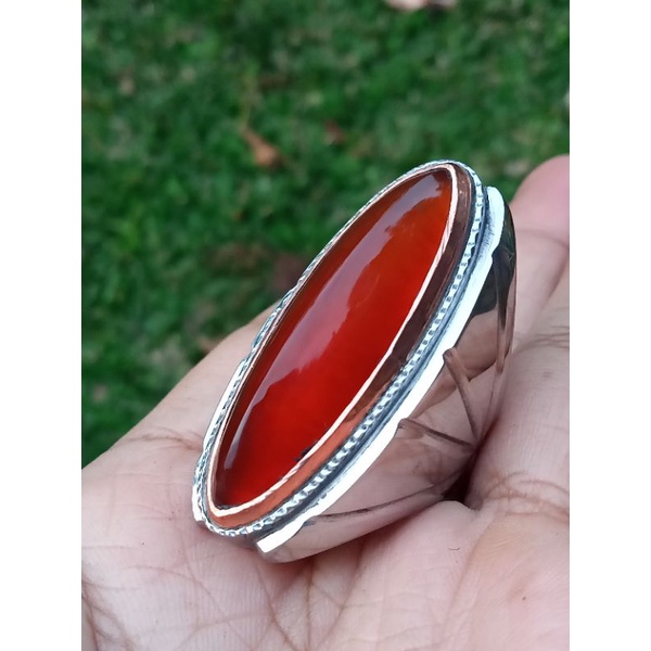 pandan merah.pandan lumut.ring 7