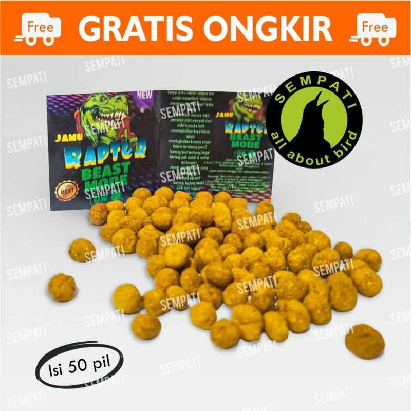 0JAMU MERPATI KOLONG RAPTOR ISI 50 KHUSUS MANUVERDANSEMI ANTI GROBOK BIKIN NGAMBUL