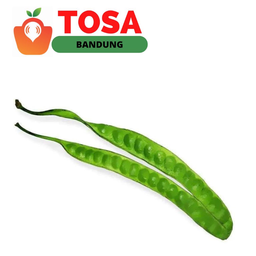 

Pete 1 papan (harga langka)