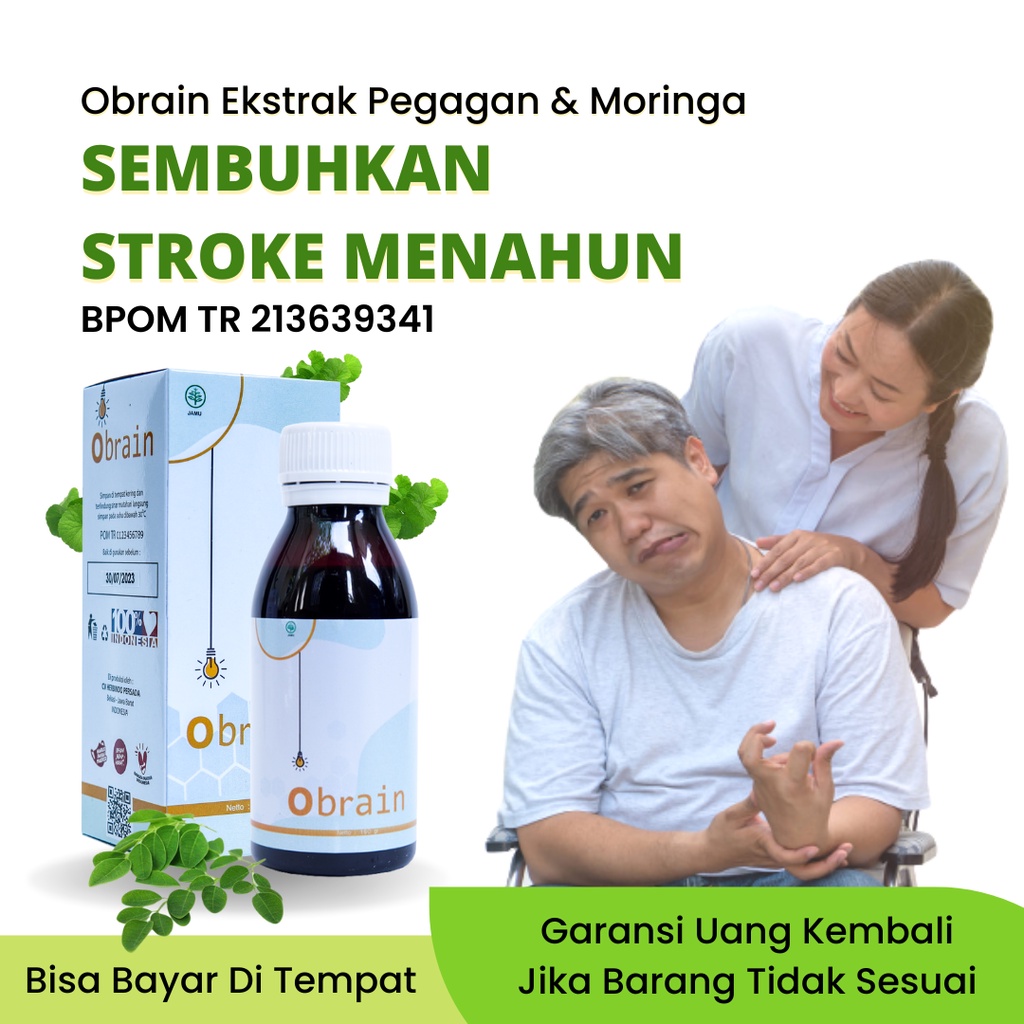 Jual Obrain Obat Herbal Stroke Ringan Dan Lumpuh Menahun 100 Original