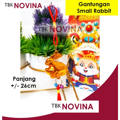 [1 PCS] GANTUNGAN IMLEK /  DEKORASI CHINESE NEW YEAR / TASEL IMLEK