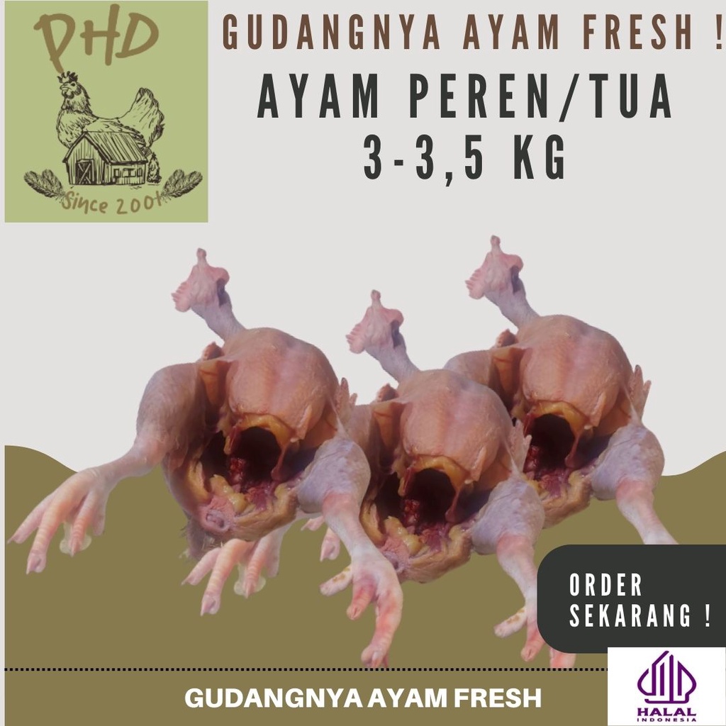 

AYAM PHD - AYAM PEREN - TUA - BROILER - UTUH - 1 EKOR - SEGAR - BERKUALITAS - FRESH 3 - 3.5KG
