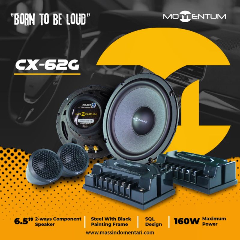 Speaker Momentum CX-62G Split 2 Way Component