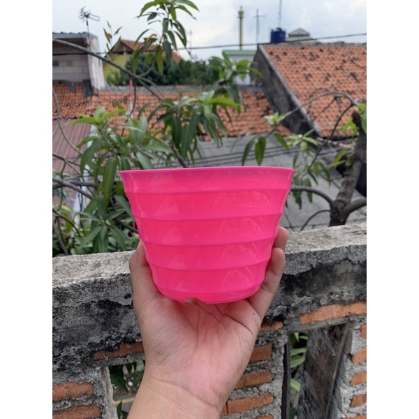 POT KING MADO 18 PUTIH WARNA WARNI Da 14,5 CM POT LUCU CANTIK MURAH