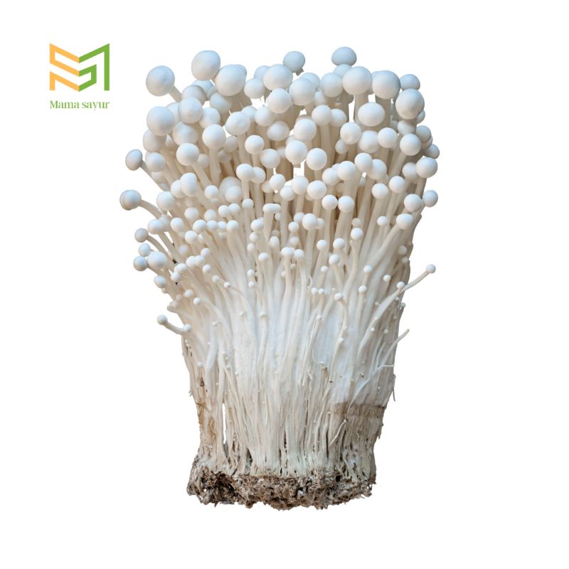 

Jamur enoki segar per pack