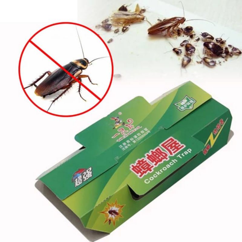 Jebakan Kecoa - Perangkap Serangga Cockroach Trap - Ampuh Basmi Kecoak Terbang Cicak