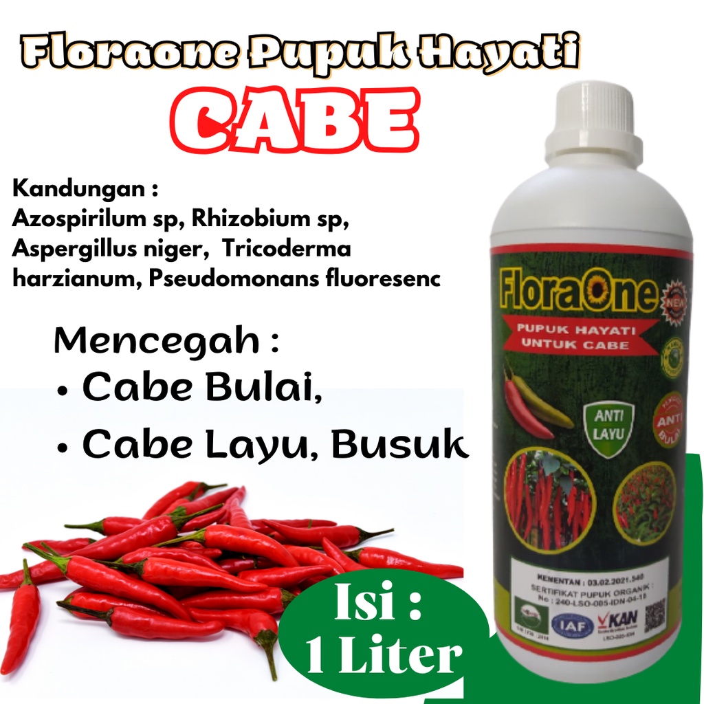 Pupuk Cair Cabai organik atasi rontok dan daun keriting, Nutrisi untuk cabe rawit setelah panen