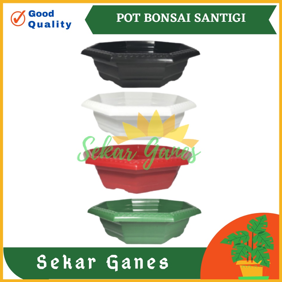 Pot Bonsai Santigi 30 Warna Warni Bonsai Segi 8 By Garden Of Love Pot Bonsai Kotak Ceper Kelapa