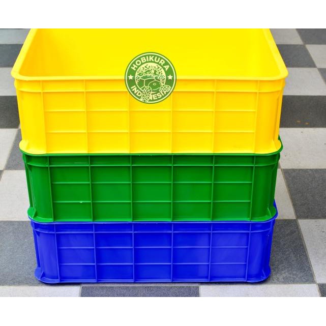 Kontainer Box / Kandang Kura - Kura Darat / Torto / Sulcata / Pardalis - Kuning