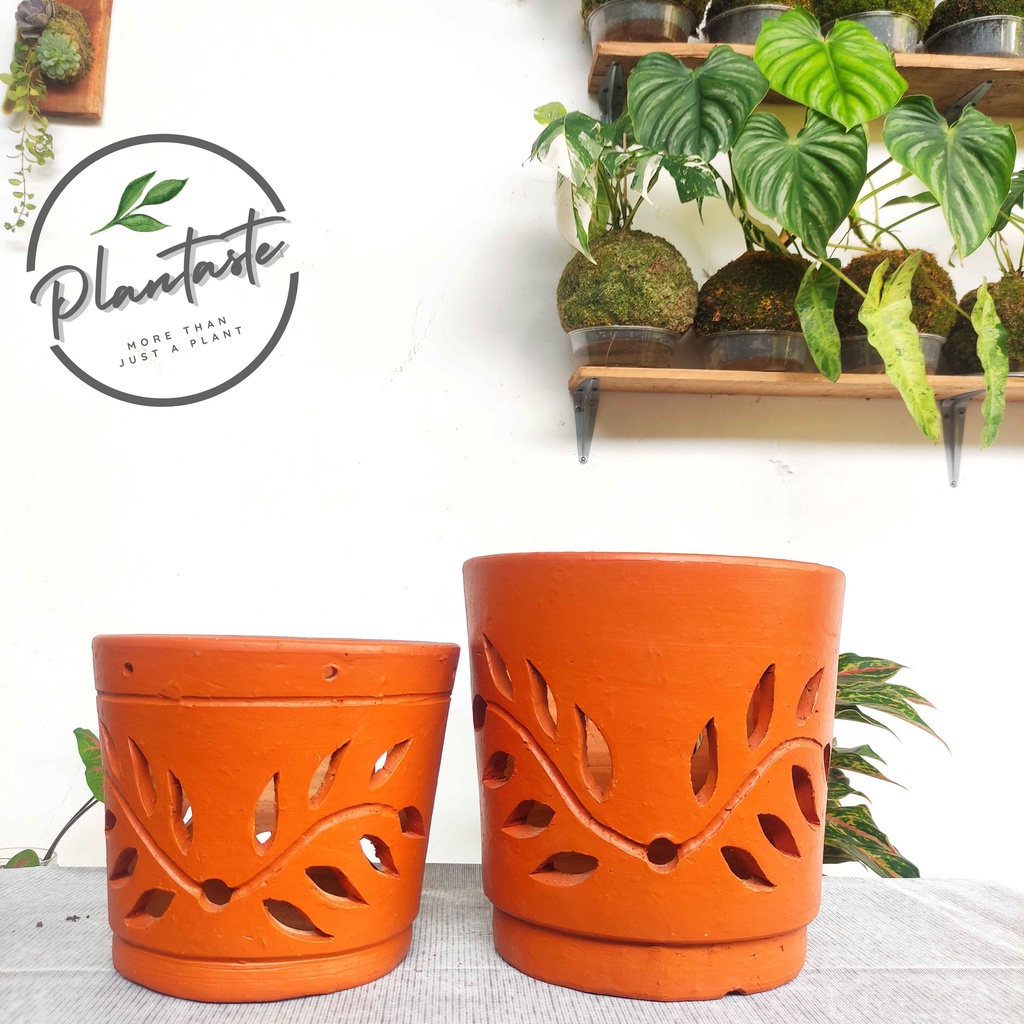 Premium Pot Anggrek Daun | Pot Anggrek Gerabah | Pot Plantaste | Anggrek Bulan