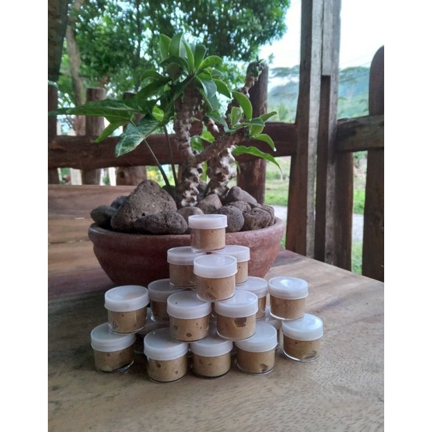 Ramuan bujang dayak kalimantan 10ml