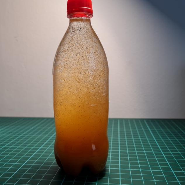 ARTEMIA SIENNA BY FISHOWNER 50G BIG RED - ARTEMIA TETAS