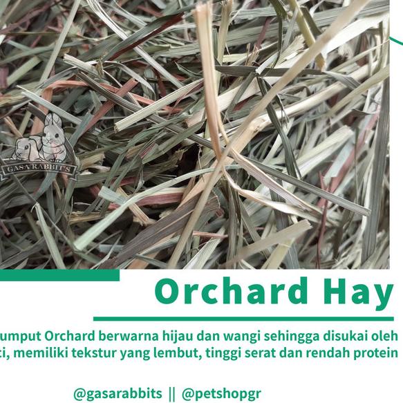 RUMPUT HAY KELINCI - OXBOW HAY - ORCHARD HAY - TIMOTHY HAY - HAY OXBOW - ORCHARD HAY