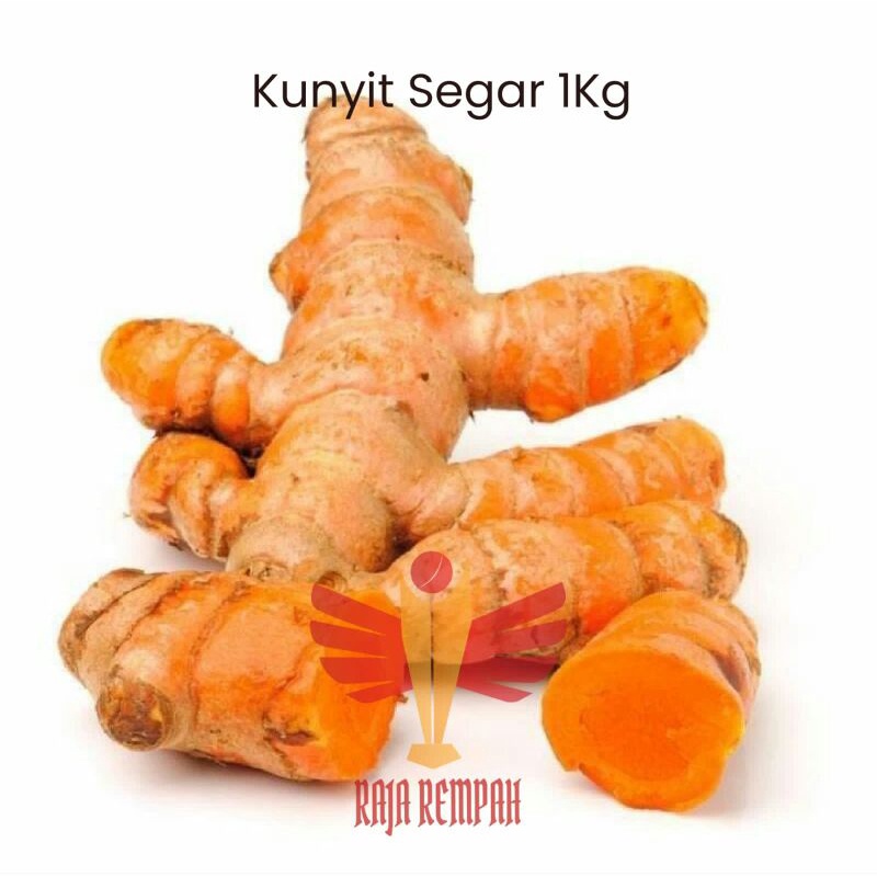 

Kunyit Segar 1 kg Kunyit lokal fresh