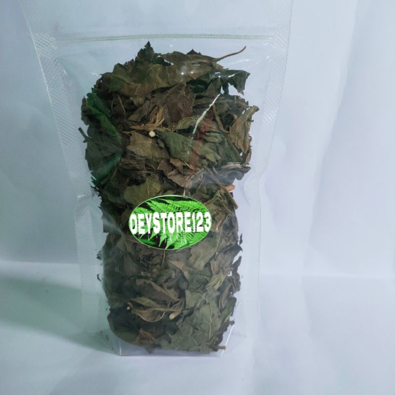 

Jual daun kirinyuh kopasan da kering atou maronggo harga per bungkus