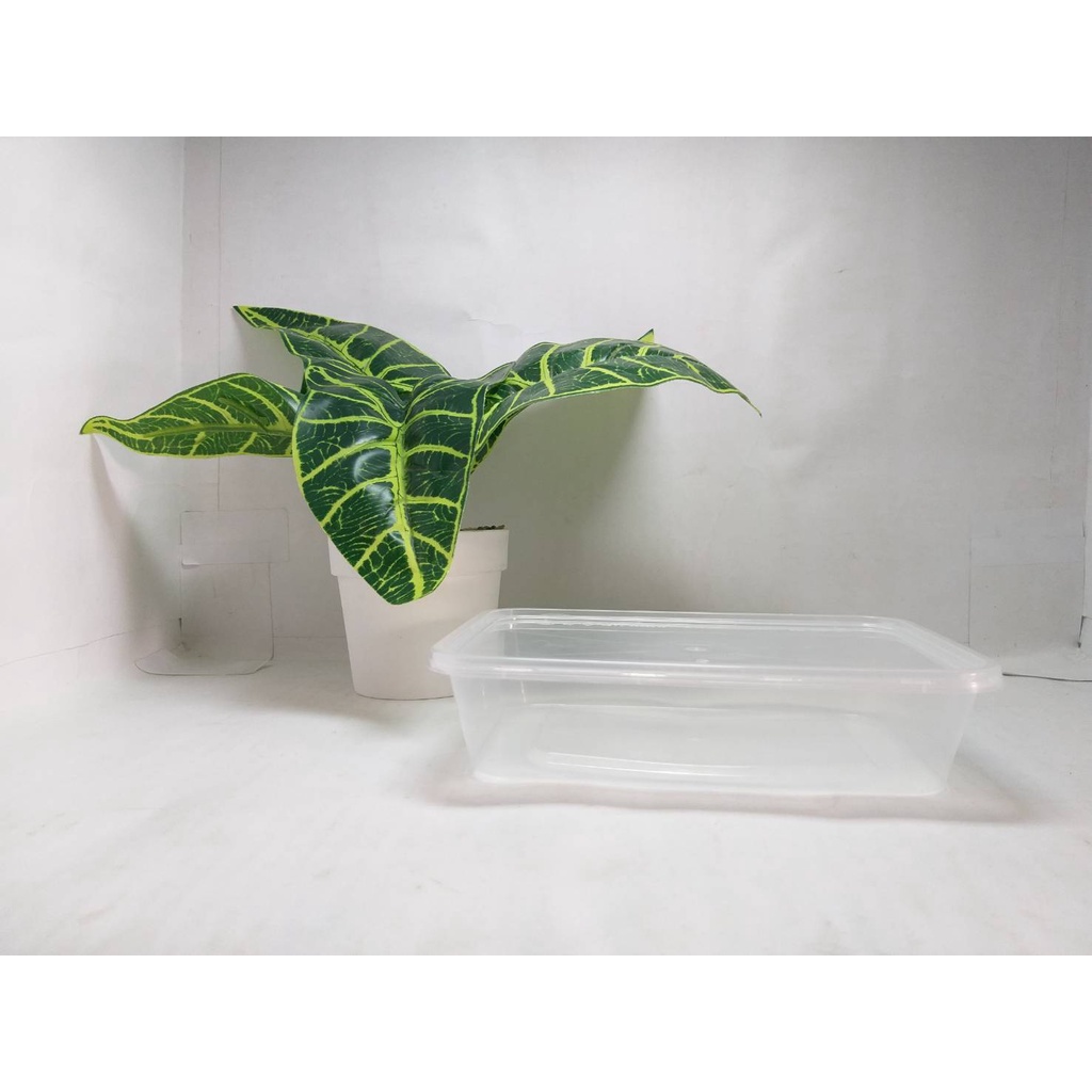 Thinwall Mangkuk Persegi Panjang 500ml + Tutup Thinwal Rectangle Plastik Tempat Makan Baso Bubur Ayam Mie 500 ml