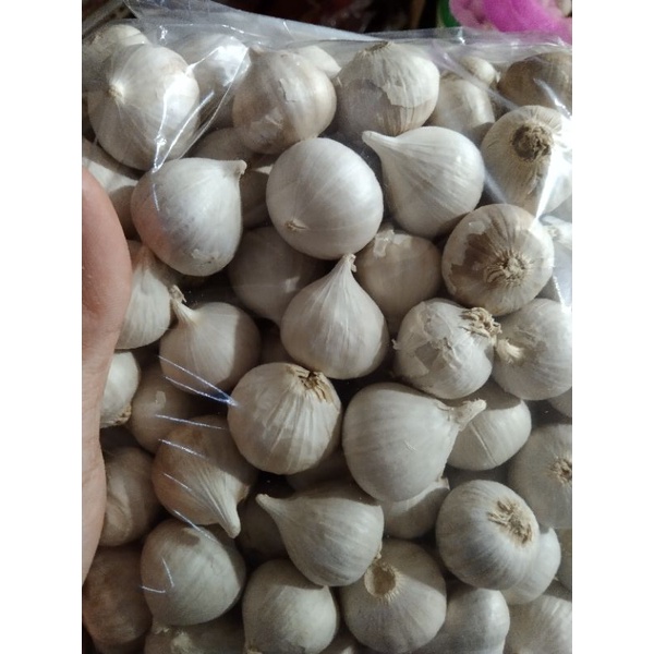 Bawang Putih Tunggal  1kg