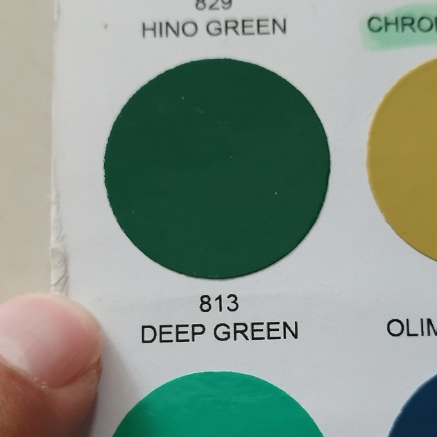 DITON 813 DEEP GREEN Hijau Tua Solid Cat Semprot Pilox Pylox