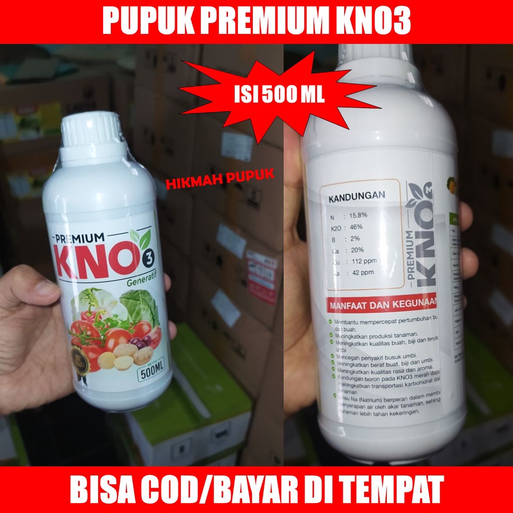 RB PUPUK PEMBESAR BUAH PADI Pupuk Pelebat Padi dan Booster Perangsang Padi di Sawah Supaya Cepat