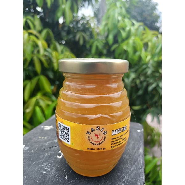 Jual Madu Hutan Asli Yazid 235gr Madu Hutan Asli Madu Murnilebah Hutankahasiat Madu Hutan 2283