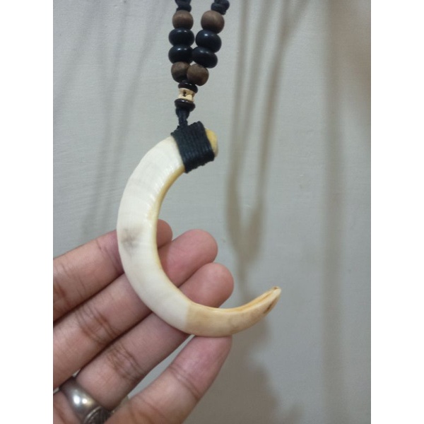 Kalung Pria Liontin Taring Tarbi Etnik Asli Original
