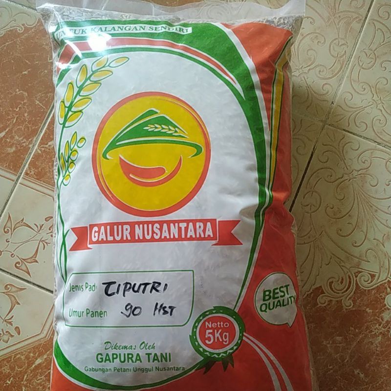 Benih Padi CIPUTRI 5 Kg