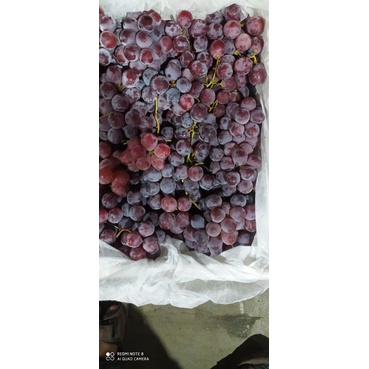 Buah Anggur Merah Import 1kg
