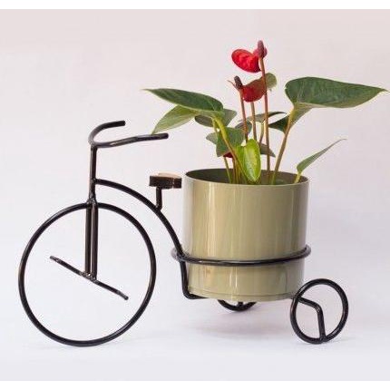 rak pot bunga sepeda lucu/ standing pot bunga sepeda besi cantik
