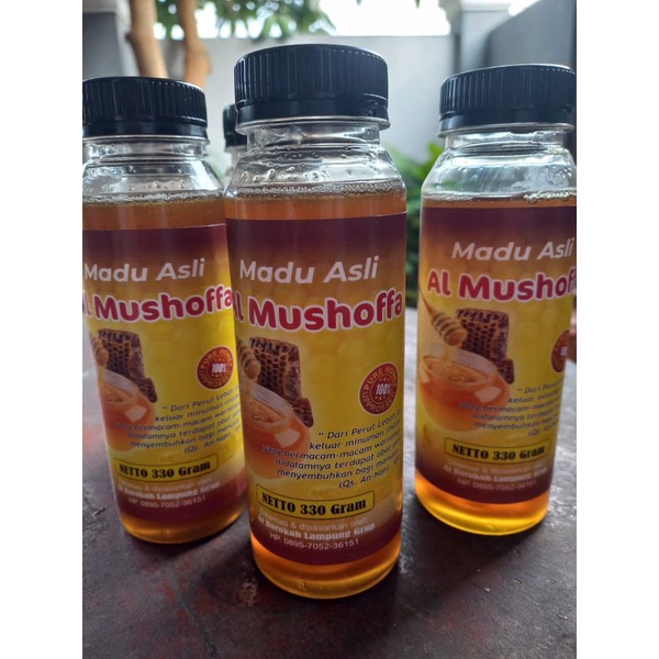 

Madu Hutan Murni Asli