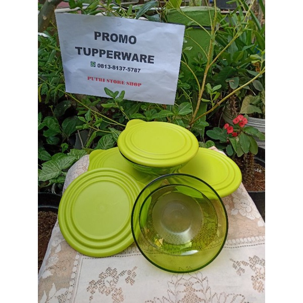Eleganzia Bowl Tupperware