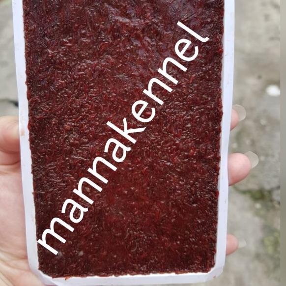 cacing darah beku/frozen bloodworm/cabek/cacing beku tray kiloan 1kg