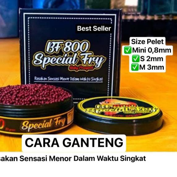 PELET BF1800 & BF800 STRONG COLOR BIG HEAD PAKAN LOHAN LOUHAN TERBAIK - BF800, Mini