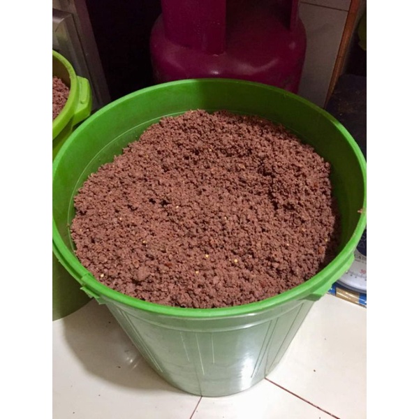 Bulacan Fun/Bubuk Terasi/Terasi Panggang/Bakar siap saji enak