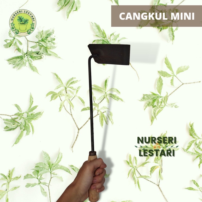 Cangkul Cangkul Mini