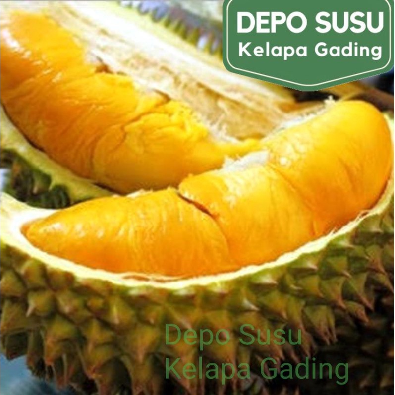 Durian Beku Motong Palu | Musang King | Malaysia D101 Duren Monthong Mochi import Premium Frozen Fresh Segar