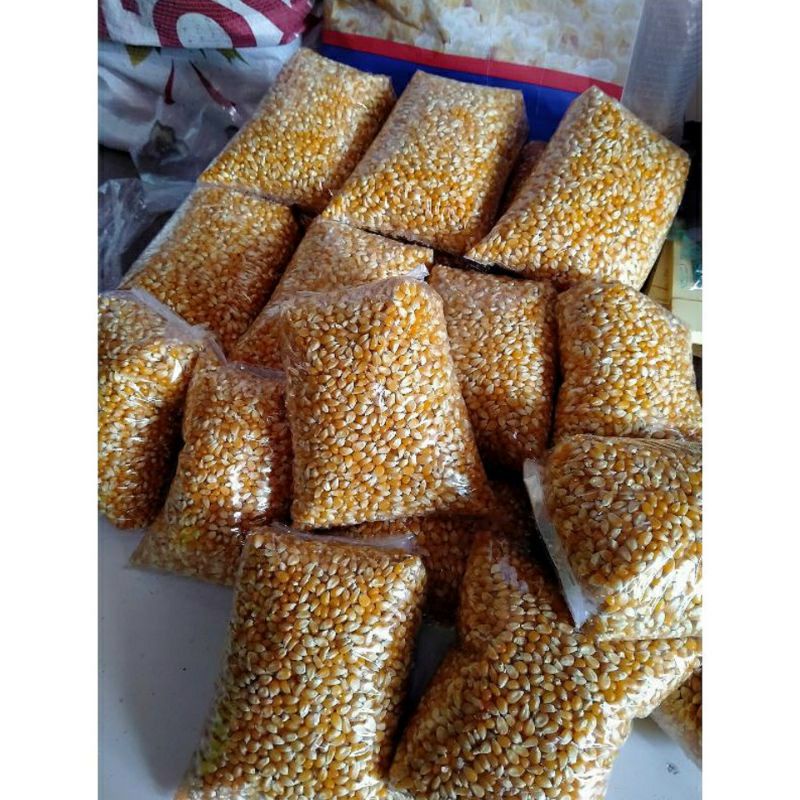 

jagung popcorn /jagung yellow terlaris