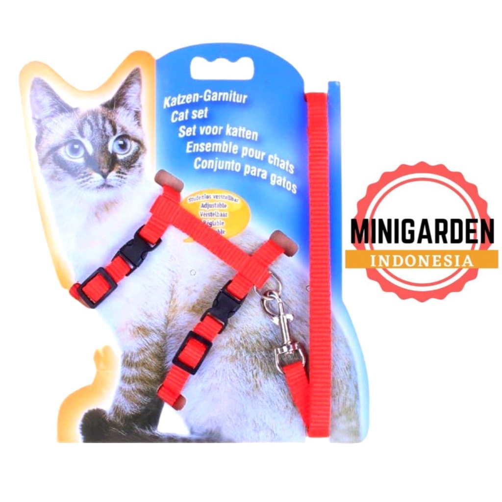 HARNESS MODEL H + TALI TUNTUN CAT HARNESS tali harness anjing kecil