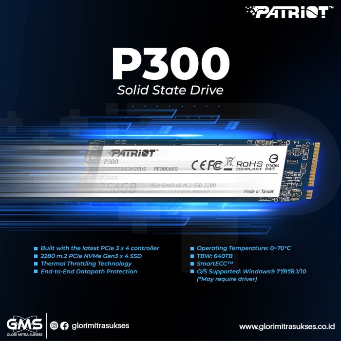 Patriot P300 M.2 2280 512 GB / SSD M.2 512GB / SSD Patriot M.2 512 GB