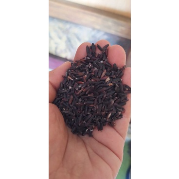 

BERAS HITAM ORGANIK LANGSUNG DARI PETANI
