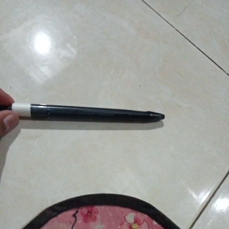 

pulpen