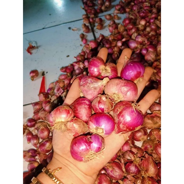 

Bawang Merah nganjuk besar 1kg