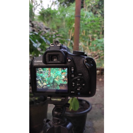 kamera DSLR canon 1200d