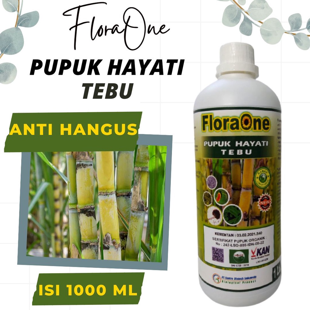 Pupuk Tebu Cair Masa Pertumbuhan, Obat Semprot Penyubur Tanaman Tebu