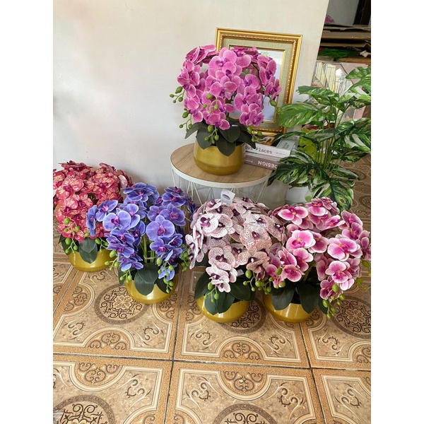 anggrek latex cabang 10 , anggrek palsu , anggrek latex ,anggrek latex cabang