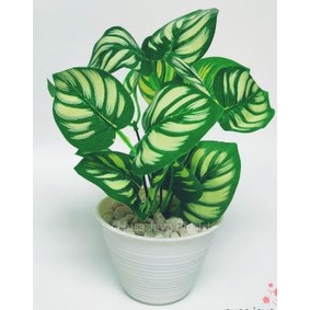 Rangkaian daun + pot (bunga artificial)  MODEL DAUN BULAT LOVE