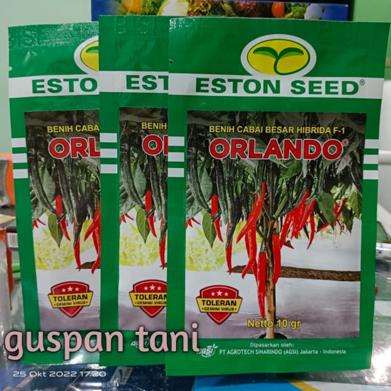 CABAI BESAR ORLANDO F1 cabe besar orlando kemasan 10grm